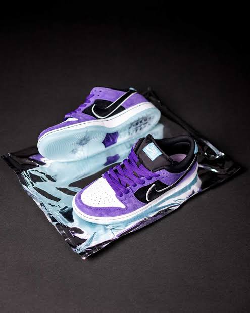 NIKE SB DUNK LOW PRO